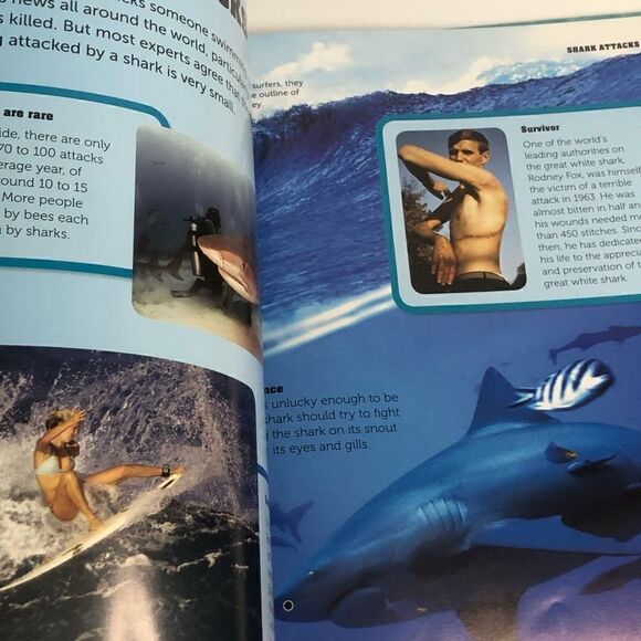 discovery kids sharks hardcover by parragon books educational homeschool library - Picture 8 of 10